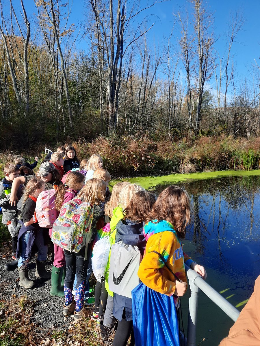 Mrs. Hey's 5th Grade tweet media