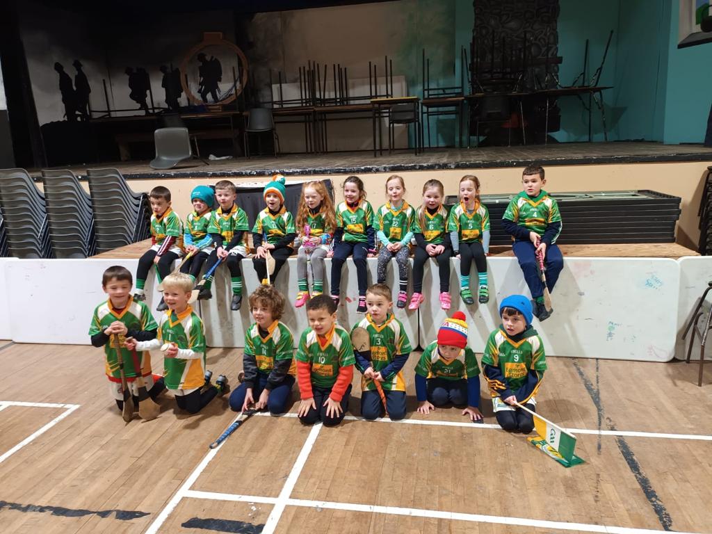 LCGaelsGAA's tweet photo. The U6s ended their year with a great party and the highlight of it all taking part in the parade of the North Cork final after playing games at half-time of the championship games. A great experience for them all and no doubt many future stalwarts of the clubs in the ranks! https://t.co/XZj2dwjPBF