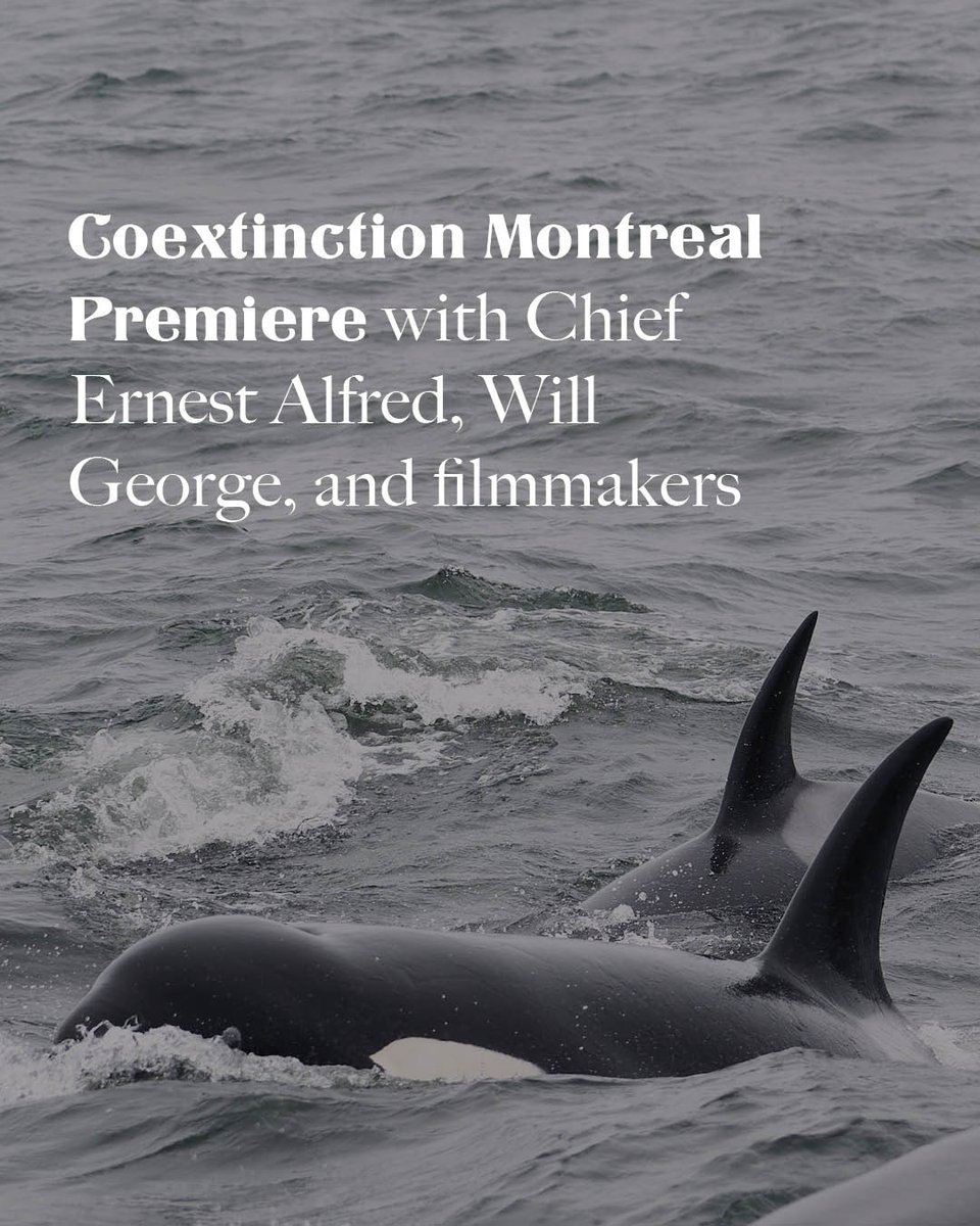 Coexistence Films tweet media