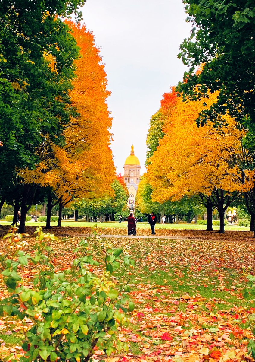 Neil Salinas tweet media