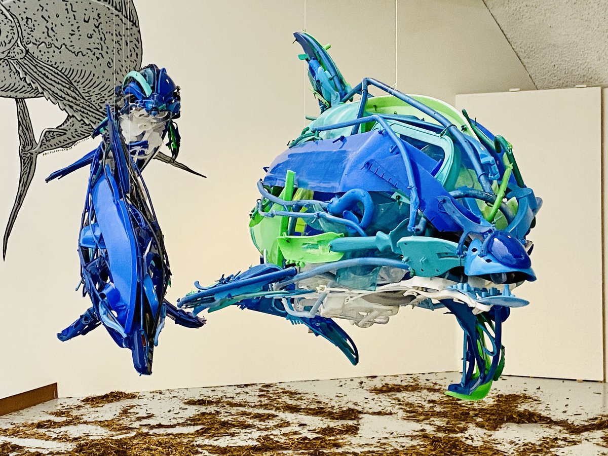 Sternberg Museum of Natural History tweet media