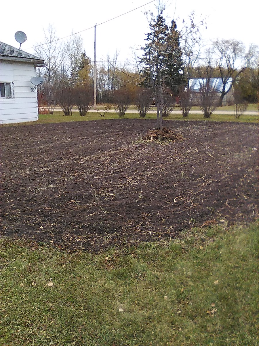 Wally Satzewich tweet media