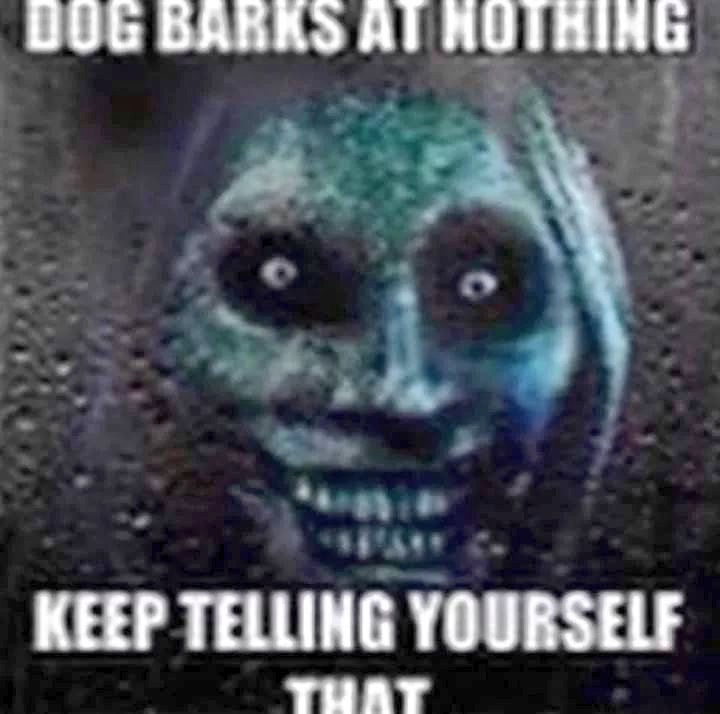KorpseKrieg's tweet photo. @RespectfulMemes Well u told me to show u :/ https://t.co/r5G2e9Ta0z