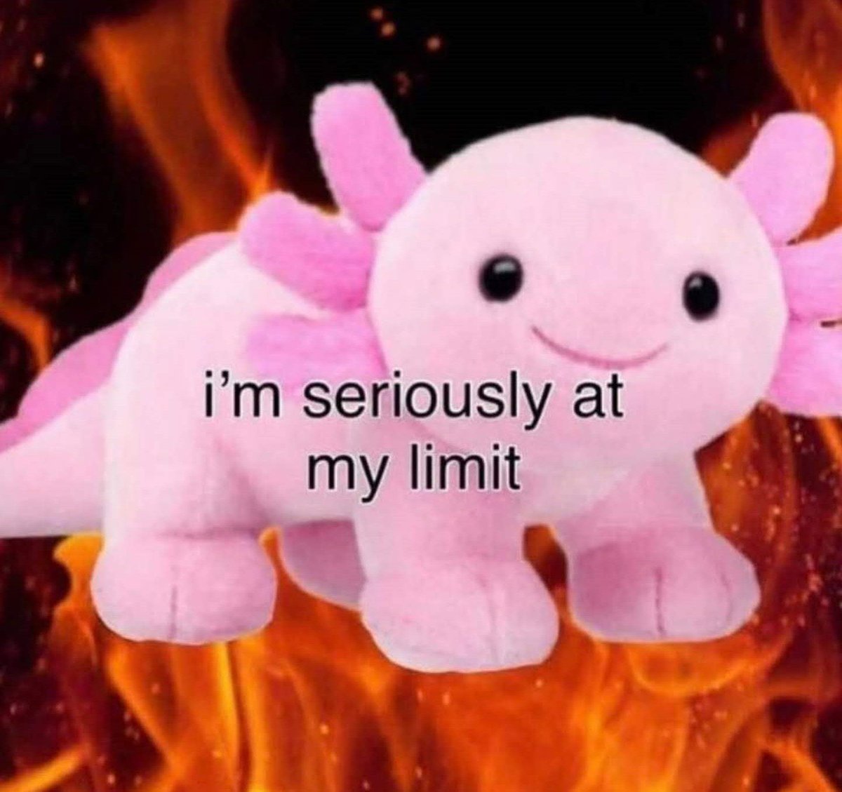 midterms 😌😌😌😌😌