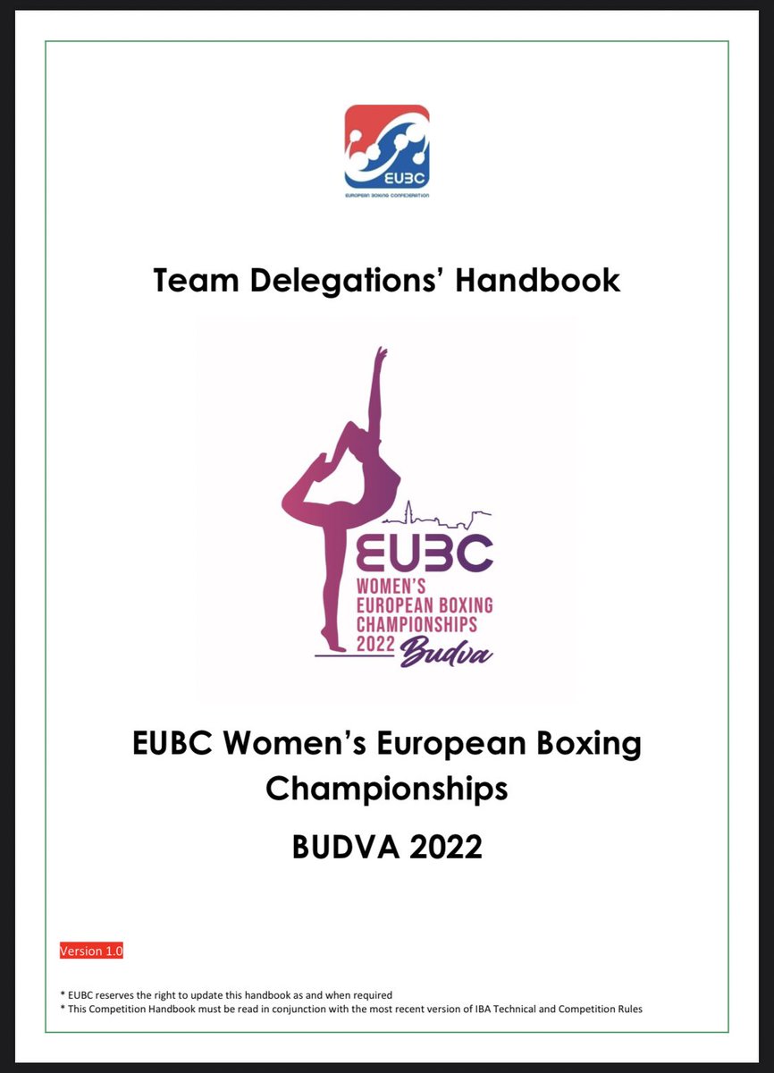 I honestly had to check because my jaw was on the floor watching the news… but, remarkably, yes: someone working for boxing proposed that logo design, and someone *in* boxing approved it. And there it is.