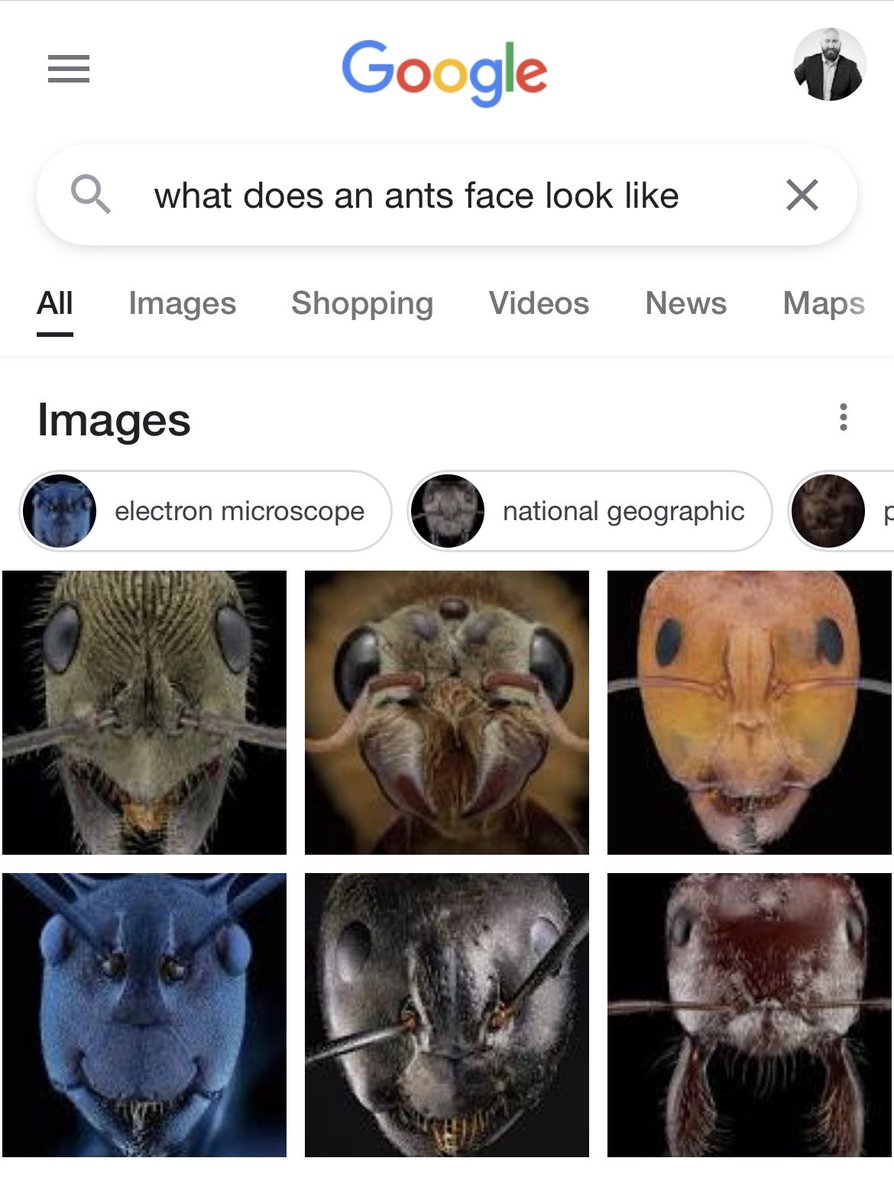 Thanks for the fresh dose of nightmare fuel, <a href="/Google/">Google</a>! 🐜 😱