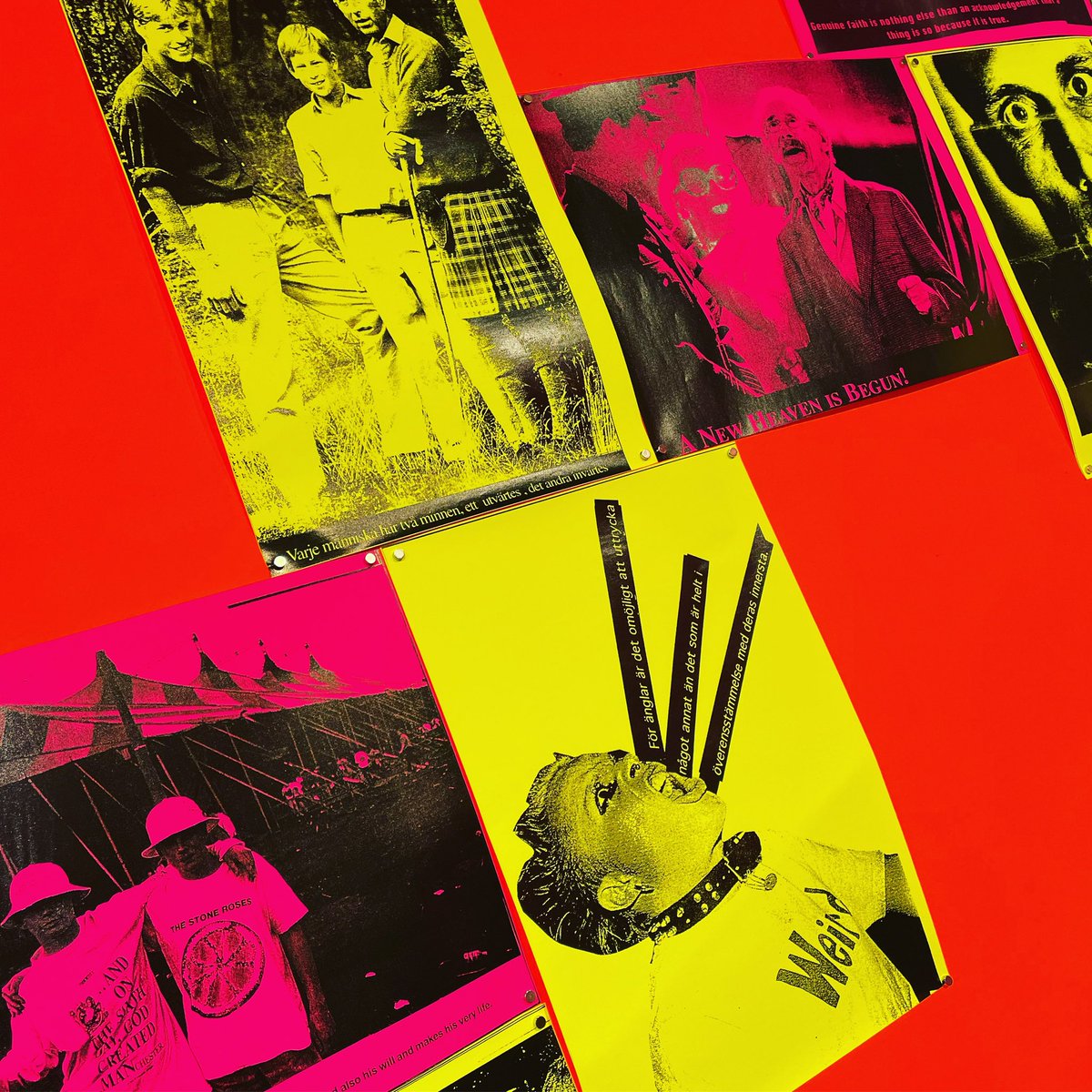 David Sinclair tweet media