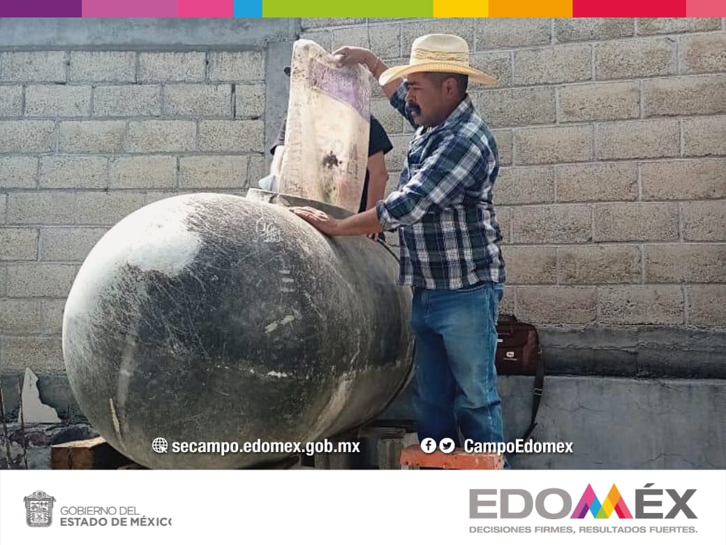 CampoEdomex's tweet photo. La @CampoEdomex, continúa fortaleciendo a los productores del #CampoMexiquense con las Acciones de Profesionalización por #LaTierraQueNosUne, es por ello que se realizó la sesión titulada "Elaboración de Biofertilizante Orgánico" en la comunidad Mado del municipio de #Acambay. https://t.co/yswt8lYJls