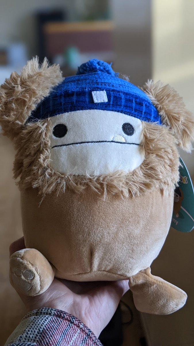 Screaming, crying, throwing up. 
#bigfoot #squishmallows