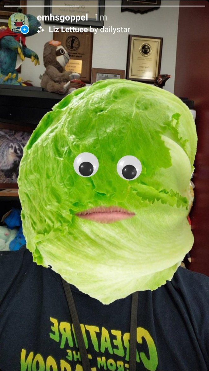 EMHSgoppel's tweet image. Here is my contribution to the @dailystar 🇬🇧 Liz Truss 🇬🇧  lettuce filter #LettuceWins #APCoGo #APCompGov
