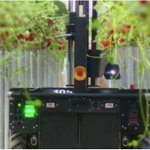 Photo by Tortuga AgTech (@TortugaAgTech)