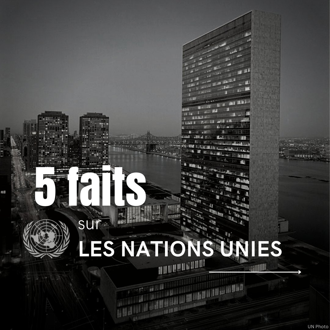 ONU_fr's tweet photo. Depuis 77 ans, l'ONU s'efforce de créer un monde meilleur où tous les peuples peuvent jouir de la paix, de la prospérité et des droits humains.

Faites défiler pour découvrir quelques faits sur l'histoire des Nations Unies et notre action dans le monde d'aujourd'hui.