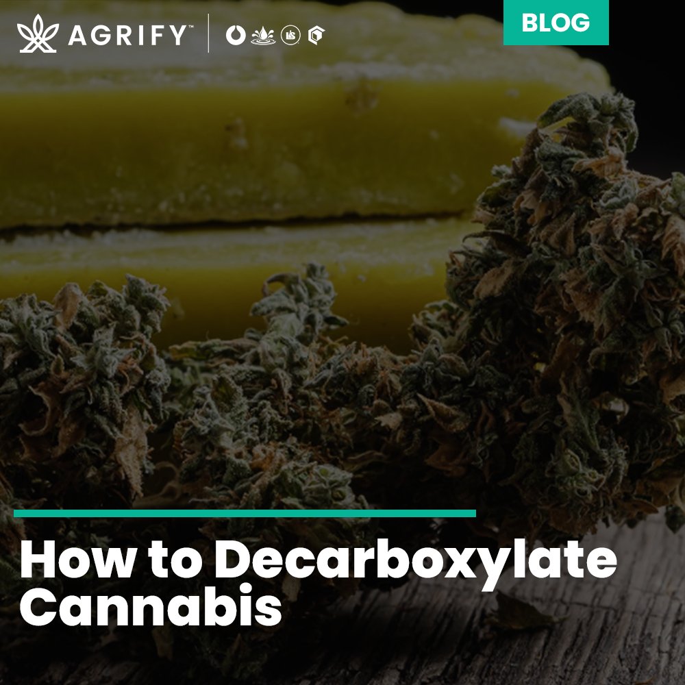 What are your biggest challenges when producing infused products?

Head to our link below to learn how decarboxylation works as well as tips for decarbing cannabis like a pro. 👊

agrify.com/blog/decarboxy…

#MadeWithPrecision #PrecisionExtracts #Decarboxylation