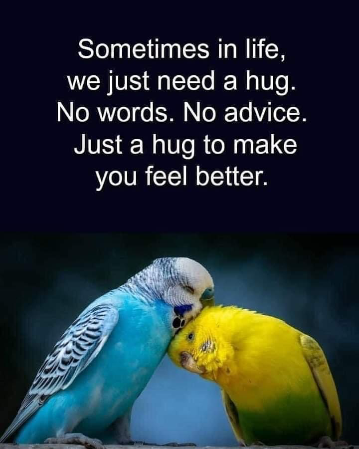 Dr. John Rosa tweet media