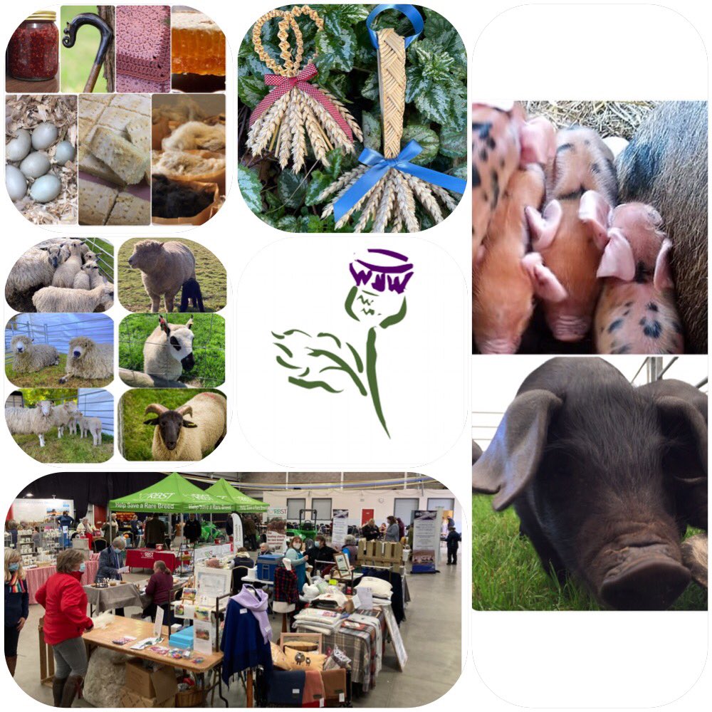 Scottish Smallholder Festival tweet media