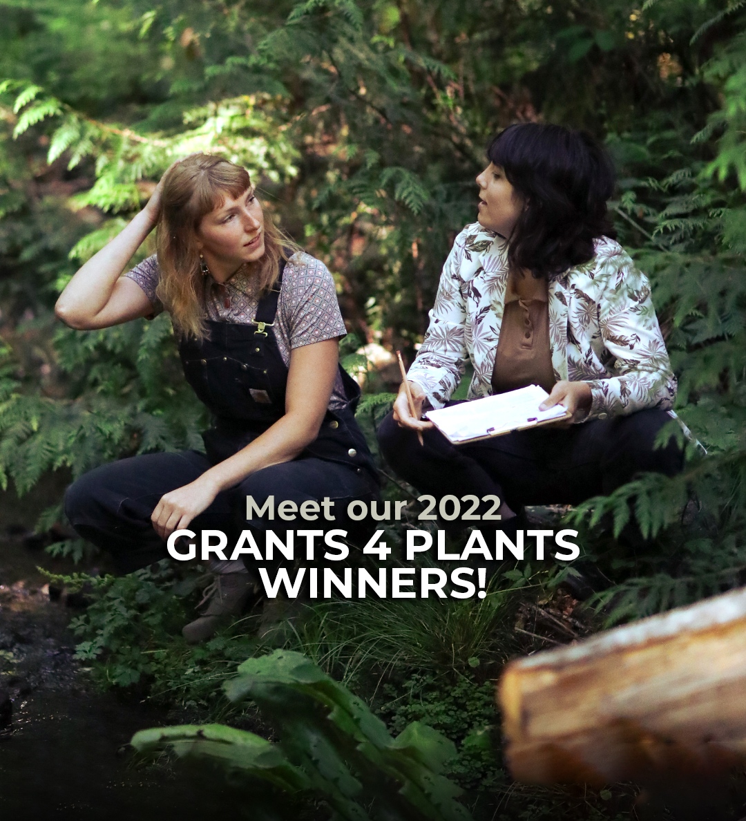 Every year #MountainRoseHerbs offers #Grants4Plants to change-makers who have a vision to take care of people while protecting our planet. This year, we received hundreds of applications for the $4,000 #grants. Learn more about this year’s four winners: mrh.life/2022Winners
