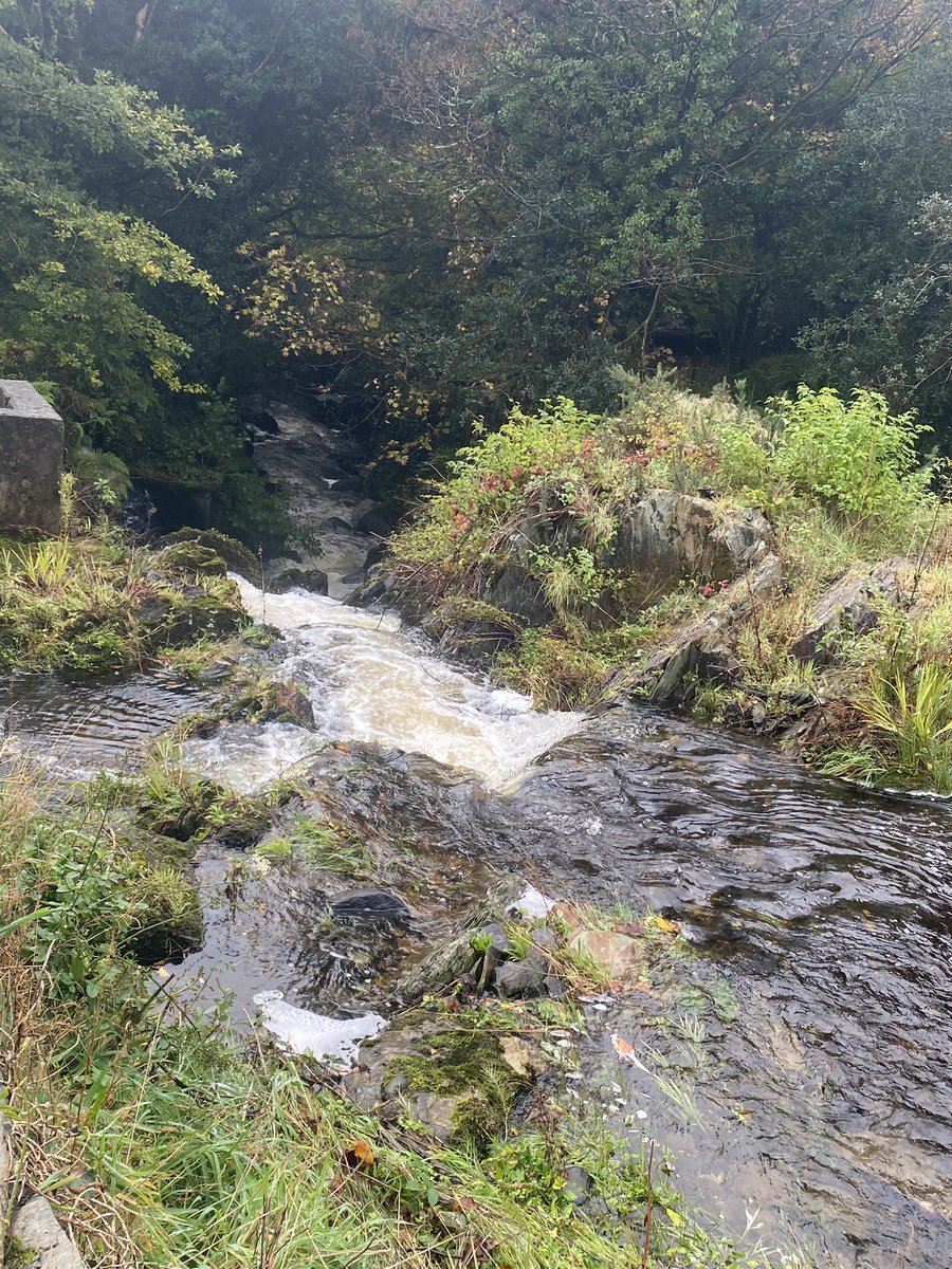 Mollkos's tweet photo. Day 1390 of #1400daysofwalking #365daysofwalking lots of water flowing after the last few days rain. Finally got caught in the rain today!! https://t.co/YIRp2lcr8P