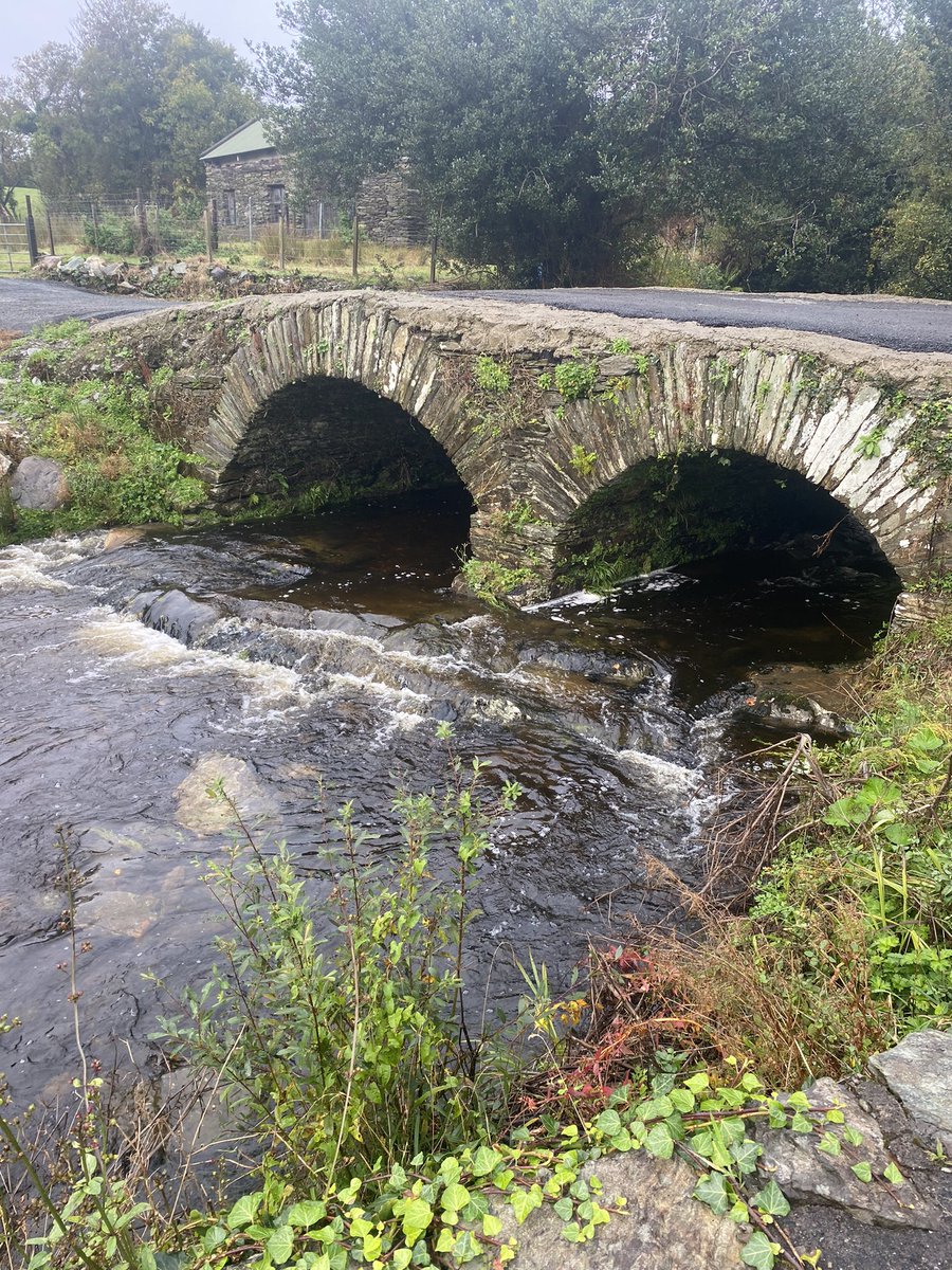 Mollkos's tweet photo. Day 1390 of #1400daysofwalking #365daysofwalking lots of water flowing after the last few days rain. Finally got caught in the rain today!! https://t.co/YIRp2lcr8P