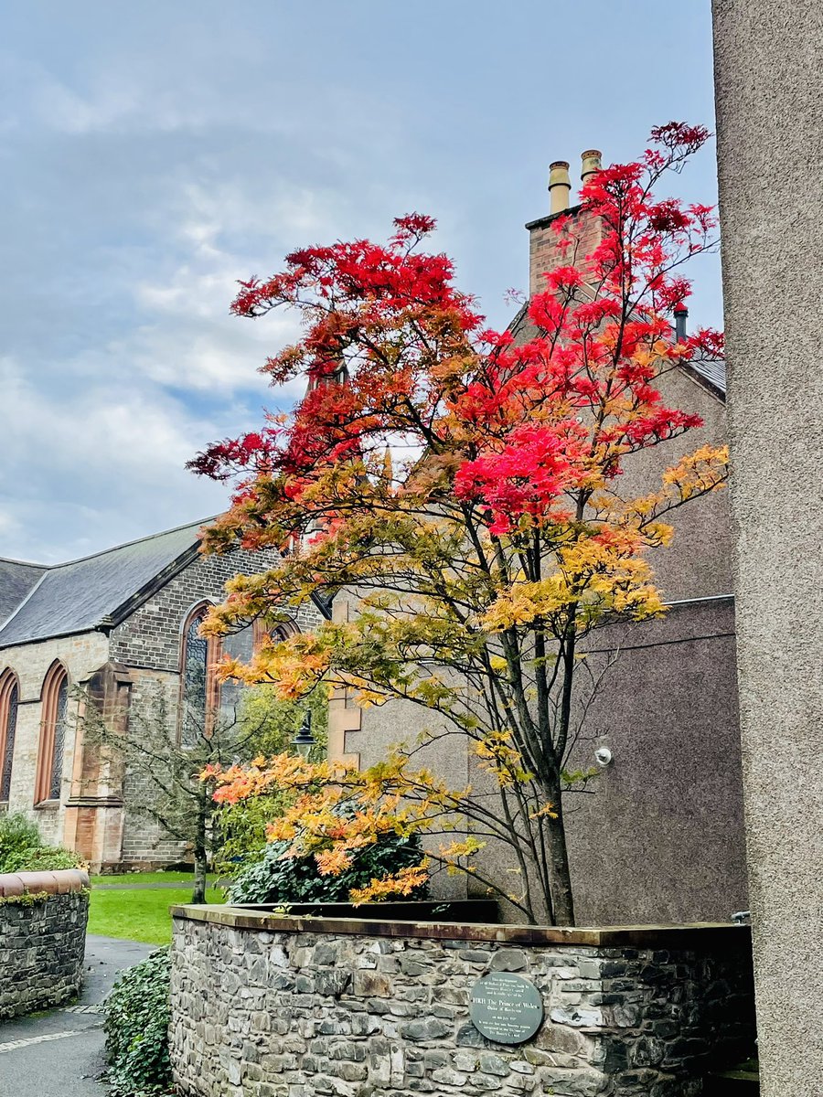 suzymax's tweet photo. @campbellclaret Here’s mine - the red hopefully a sign of things to come! https://t.co/j6phu2z8wh