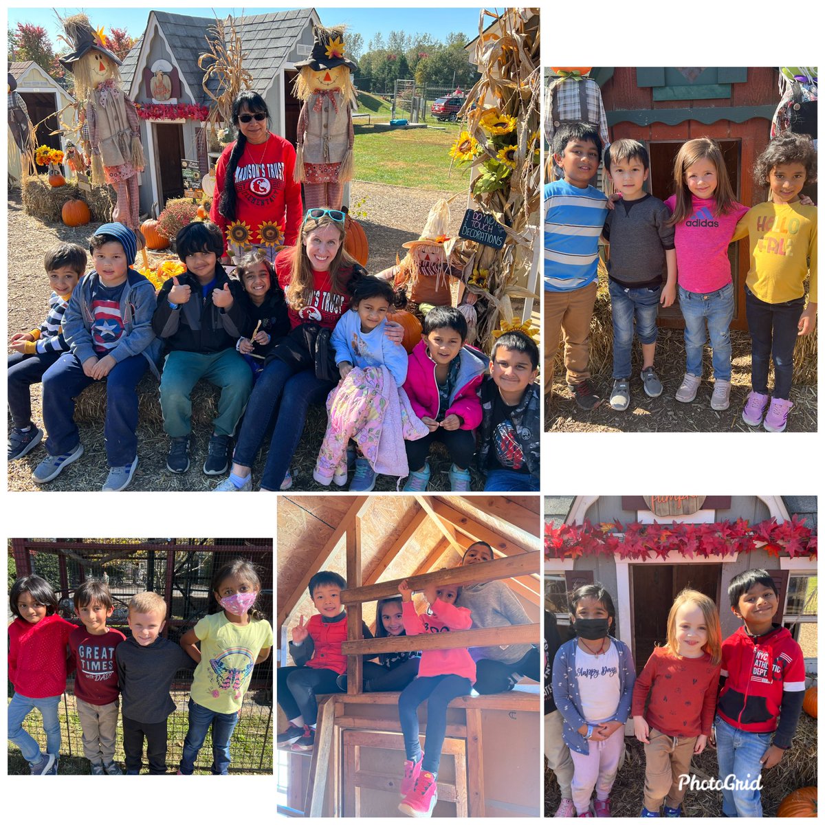 DanielleOfano's tweet photo. We had so much fun at Pumpkinville 🎃 https://t.co/OXS8hAuely