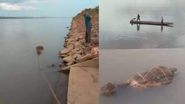 ริมตลิ่งแม่น้ำโขง จ.นครพนม คือที่พบร่างของชายนิรนาม ถูกฆ่า มัดมือ ผ่าท้องเอาอวัยวะข้างในออกหมด แล้วยัดด้วยแท่งปูน ห่อด้วยกระสอบป่านมัดแน่น แล้วจับถ่วงน้ำ

ด้วยความระลึกถึง คุณสุรชัย ด่านวัฒนานุสรณ์ สหายกาสะลอง และ สหายภูชนะ
#หนึ่งคนว่ายหลายคนให้ 
#โตโน่ภาคิน 
#ว่ายน้ําข้ามโขง