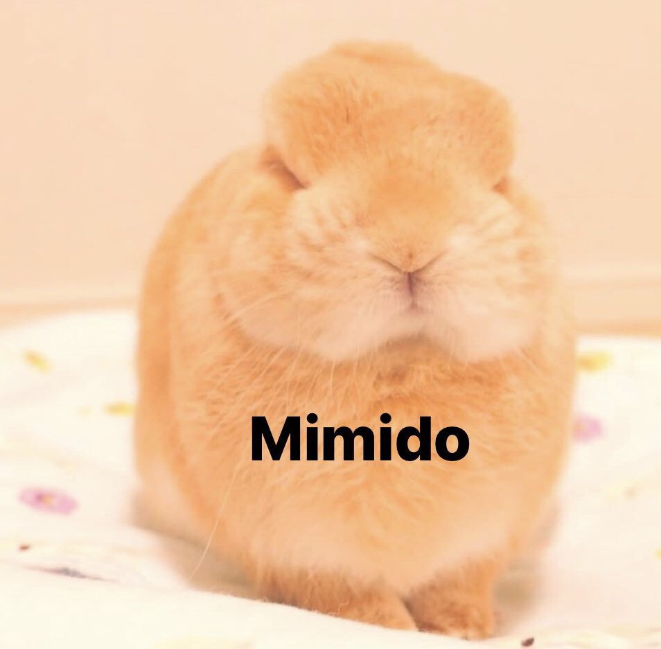 wolfertake's tweet image. Buenas noches 🌙