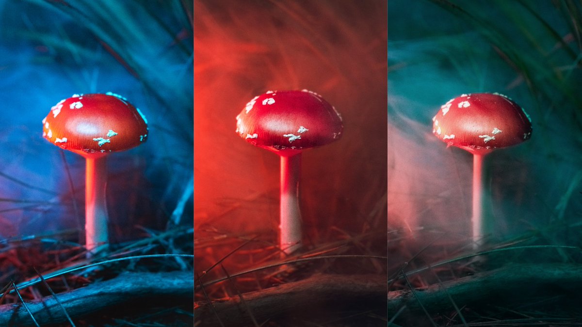 thinking // feeling // sensing