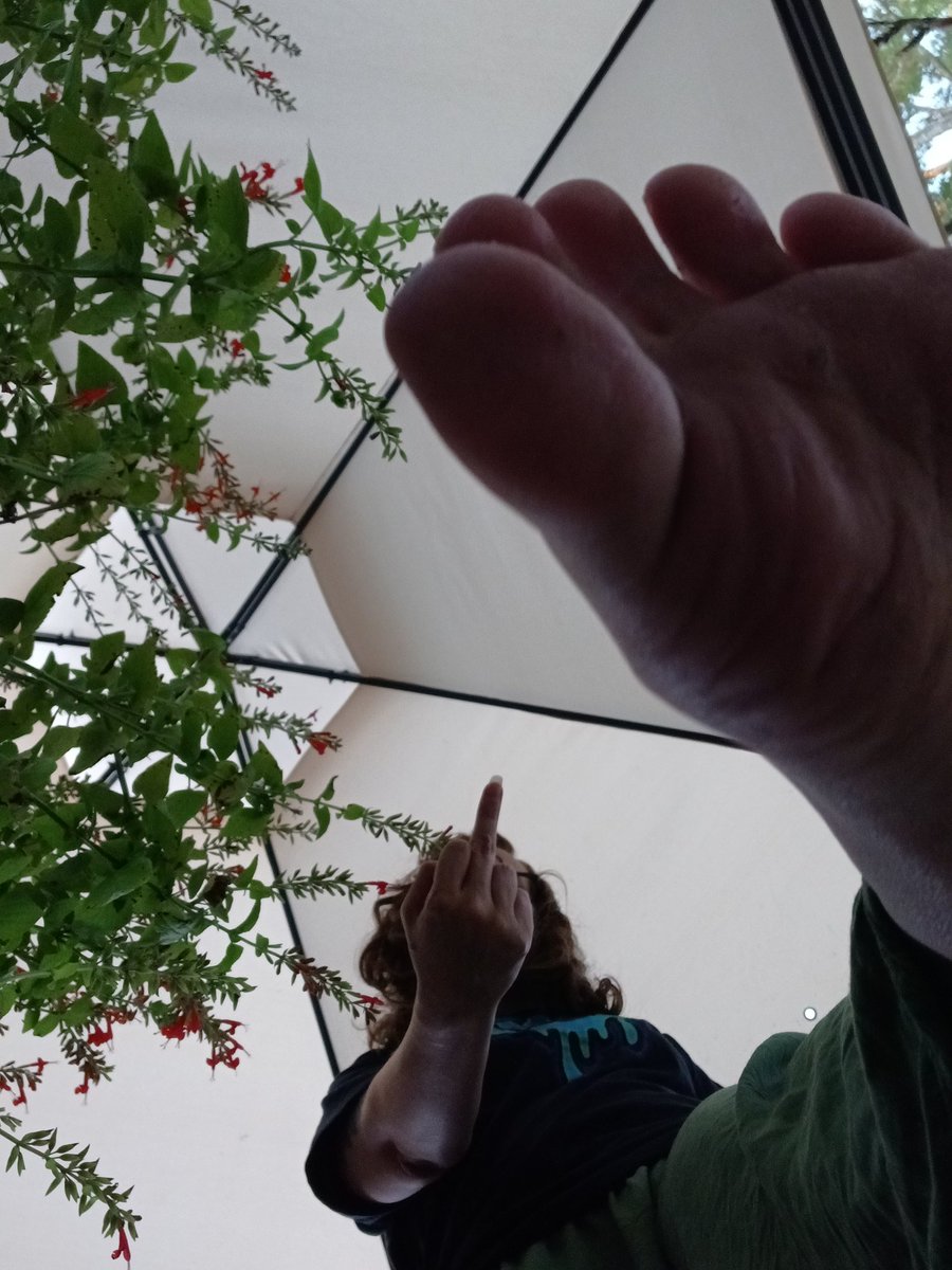 DescentViri's tweet photo. How's the view from down there?

Footdom • findom • feet worship https://t.co/ylKCbBr1Km