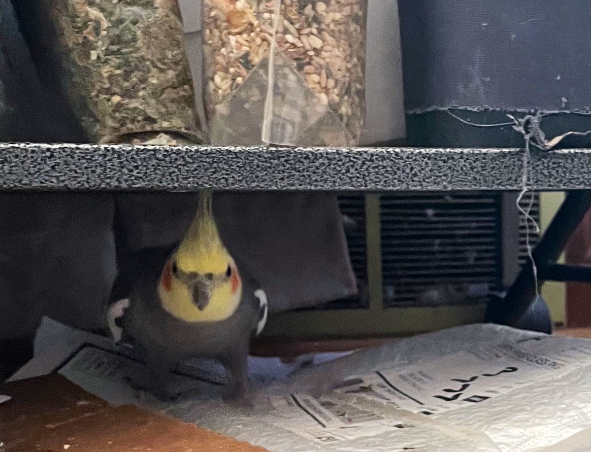 Out exploring. Thought I’d check out my basement.