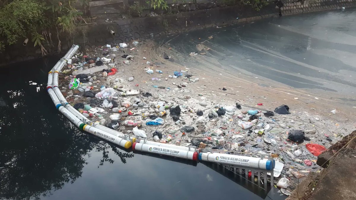 Pangea Movement tweet media