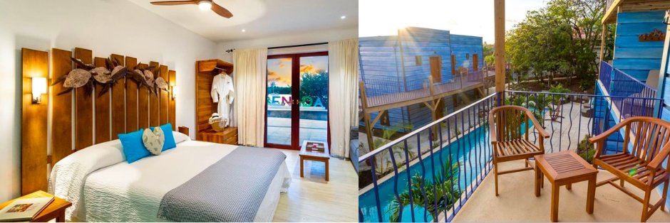 Ms. Kayla Harley tweet media