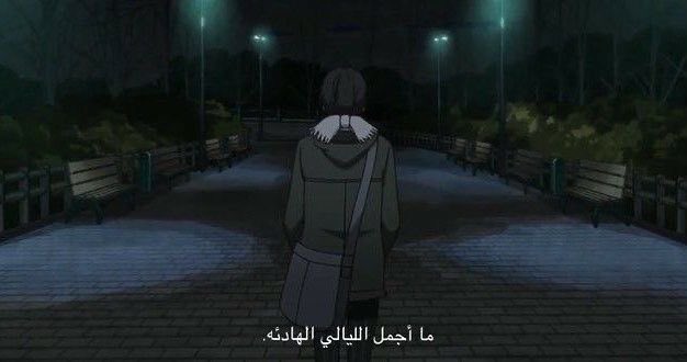 🎐 tweet media