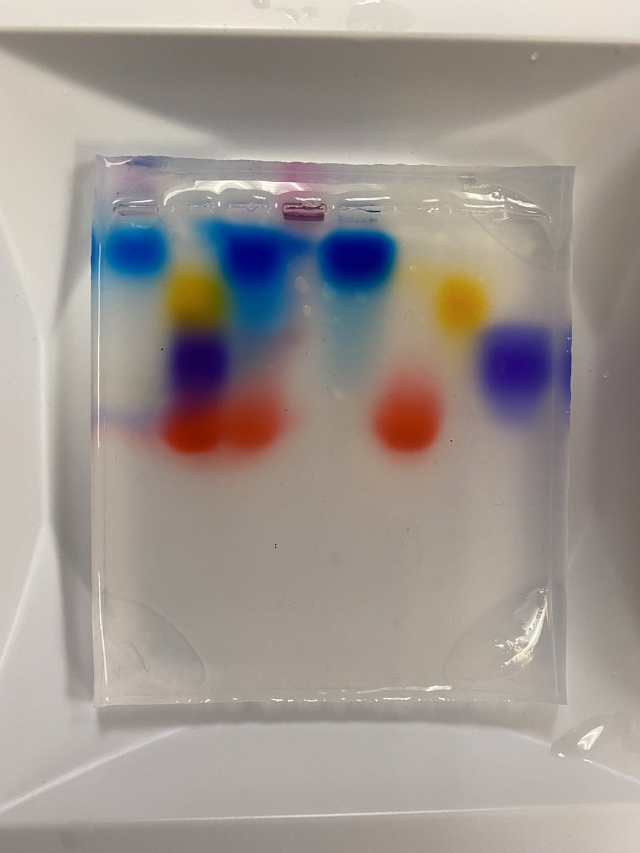 tnuhme's tweet photo. Learning the basics of electrophoresis with dyes β¦ one clearly negatively charged - #lessonlearned! @KMHS_magnet #Research2 https://t.co/YwoOorhkik