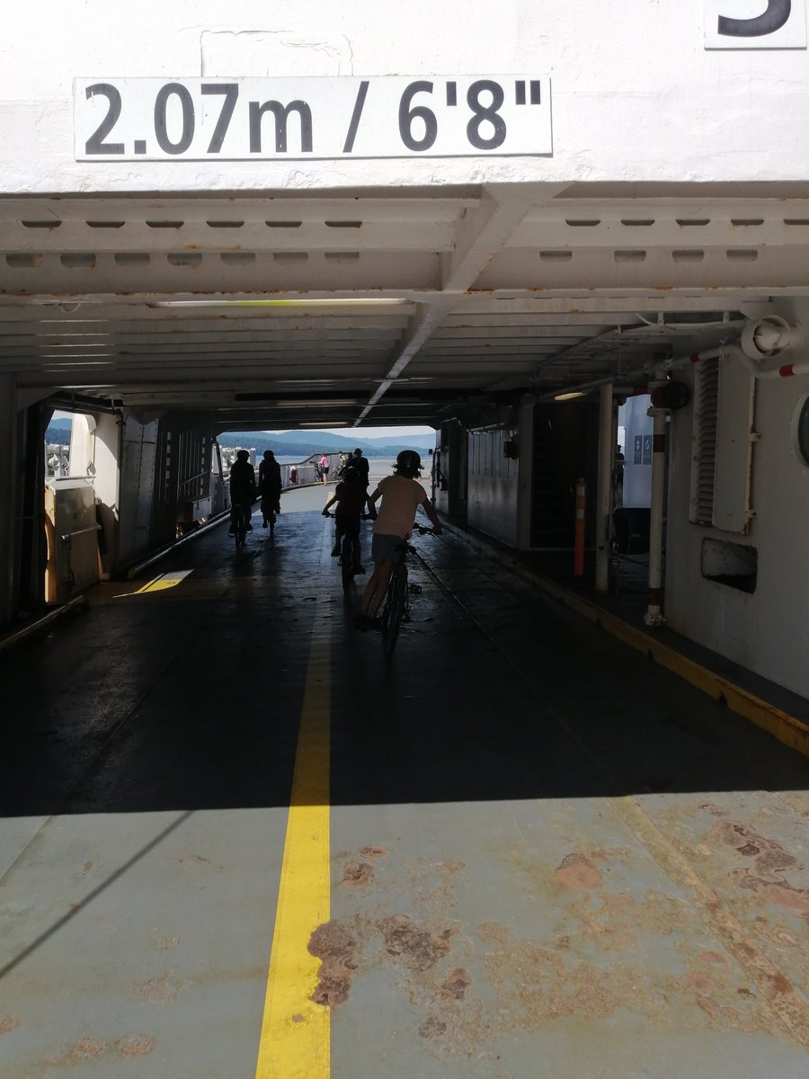 Scott Weldon tweet media