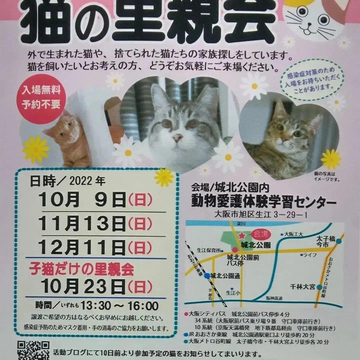 まさ Masamame801 Twitter まさ Masamame801 Twitter