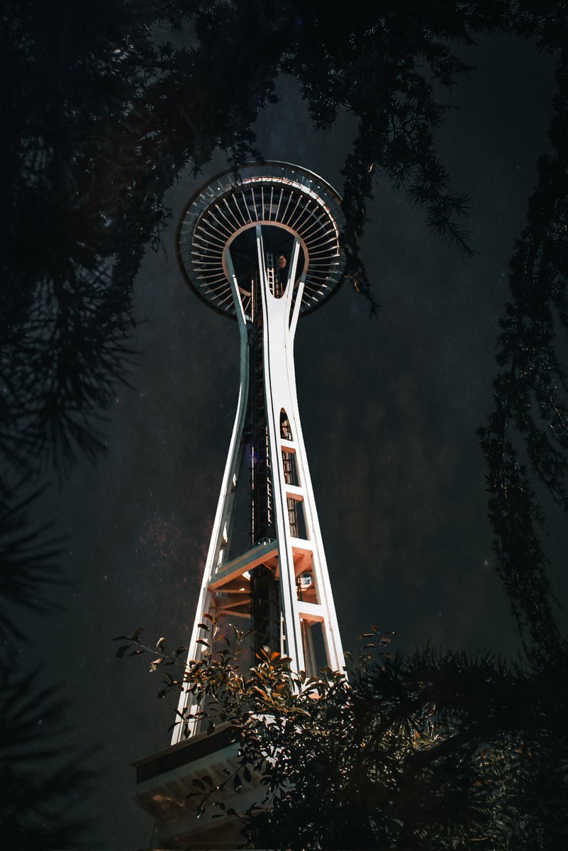 SepiaShutterbug's tweet image. You'll probably never see me taking photographs from up top. 
Perhaps a Space Needle print at my desk will inspire me to try someday.