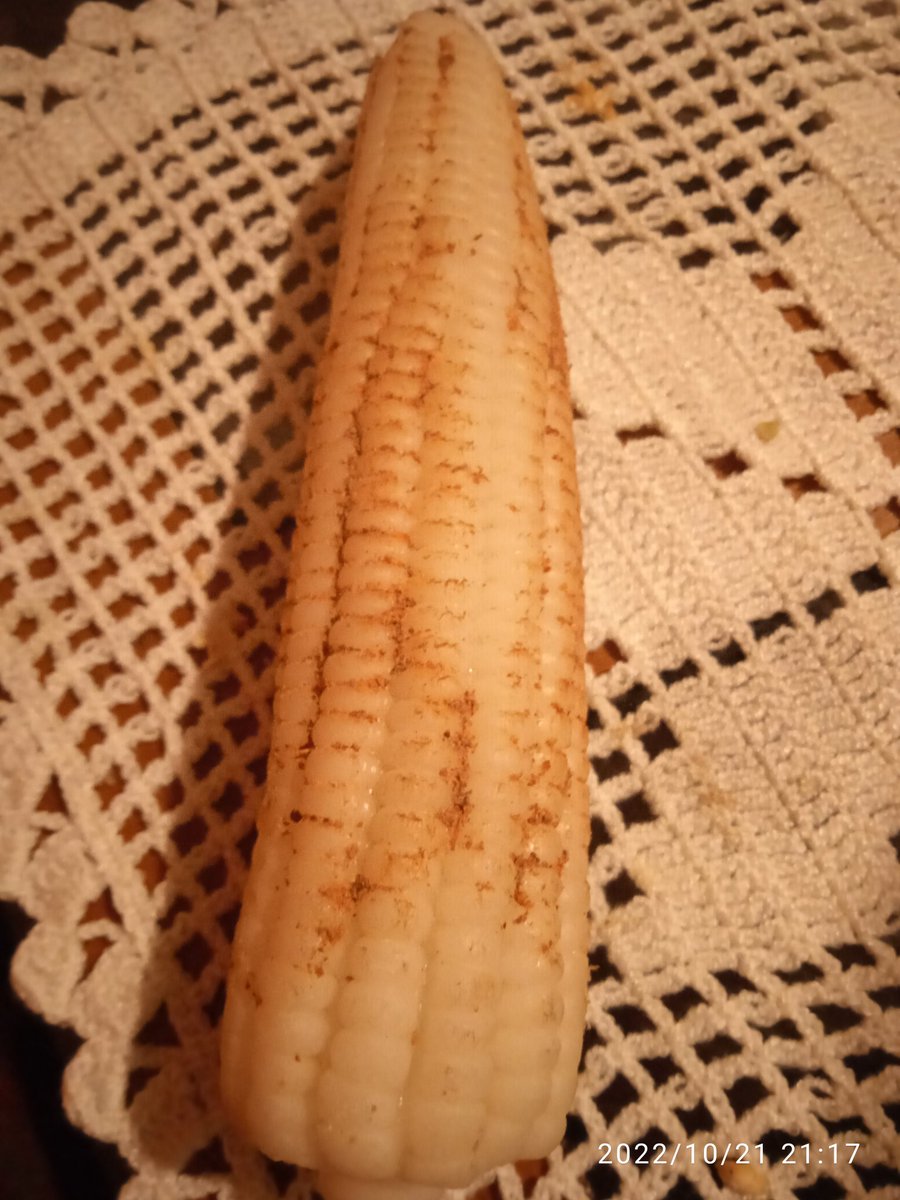 LOVERY_LOV's tweet photo. @MissaSinfonia Elote https://t.co/7ITSg4nCcr