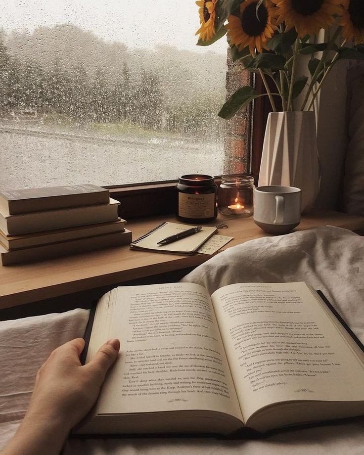 SouSun99's tweet photo. 📚✨️LIVROS LIDOS 2022✨️📚

▶️Inspirada pelos bookstans do twitter e do tik tok, decidi fazer minha listinha e contar um pouco sobre minhas leituras do ano: https://t.co/bOdDOXnyBG