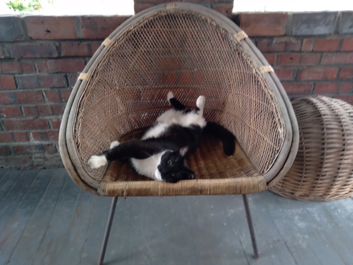 mostrowski52 tweet media