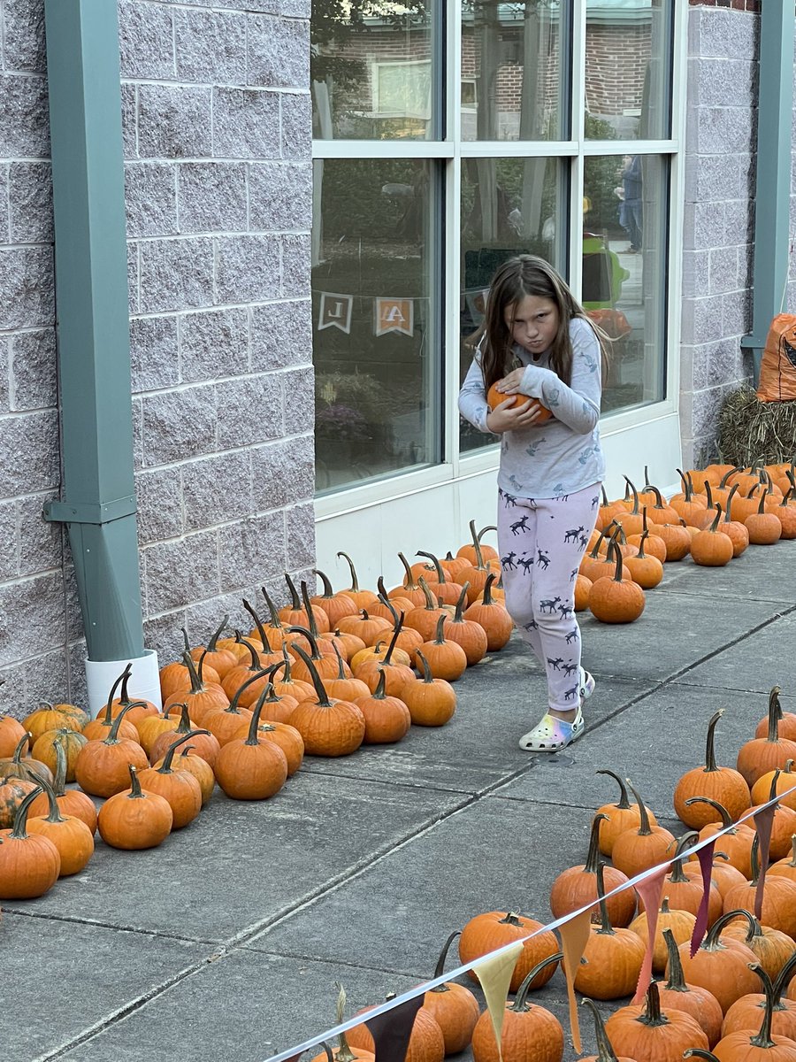 a boring world XI tweet media