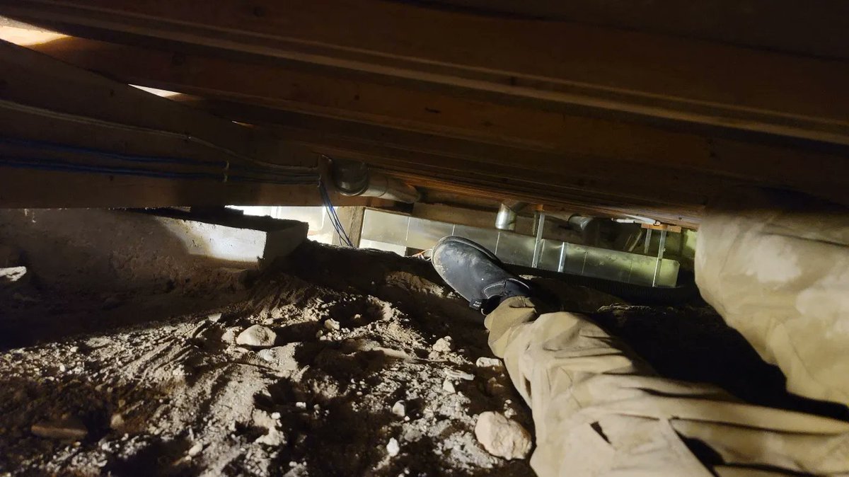 Crawling around type of day 💪🏼