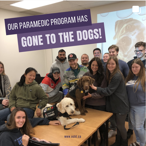 ontcollege's tweet photo. Did you know there are Dogs that are Paramedics too? Thanks to @HaldEmerg and their special Haldimand County Community Paramedic Wellness Dogs Program for coming to meet our students. https://t.co/dA6BAYj3mk