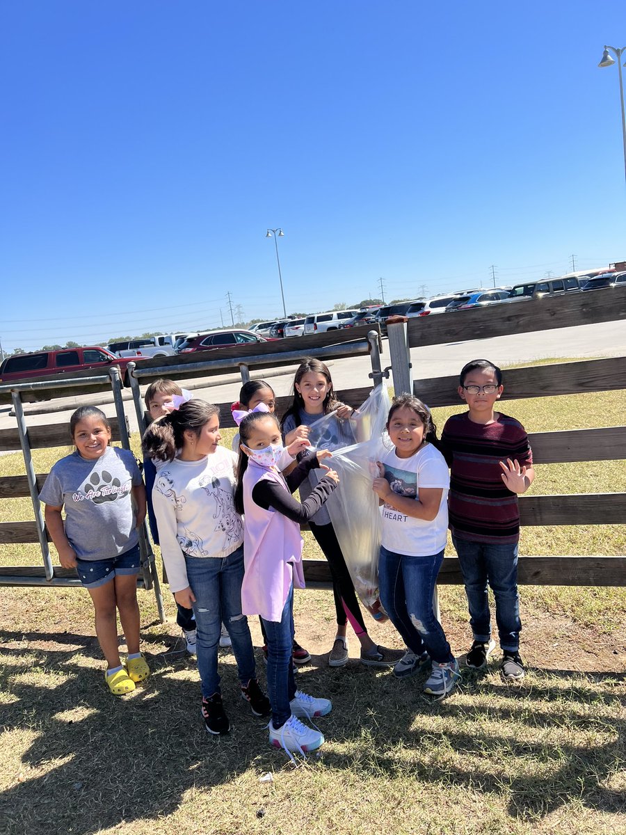 Alberta V. tweet media