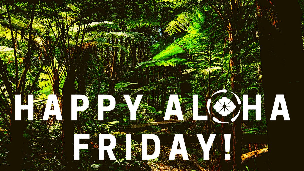 tyfhusa's tweet photo. Go outside and read a book - Happy Aloha Friday!
.
.
.
#tyfh #tyfhusa #alohafriday #hawaii #hawaiilife #alohavibes #aloha #ohana #Friday #positivity #motivation #gratitude #education #relaxfriday #happyfriday #luckywelivehawaii https://t.co/W9FEgLsSuP