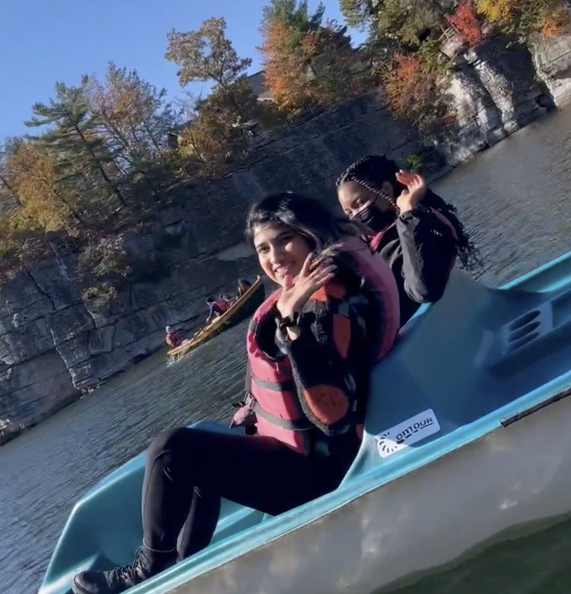 Chrysothemis Brown tweet media