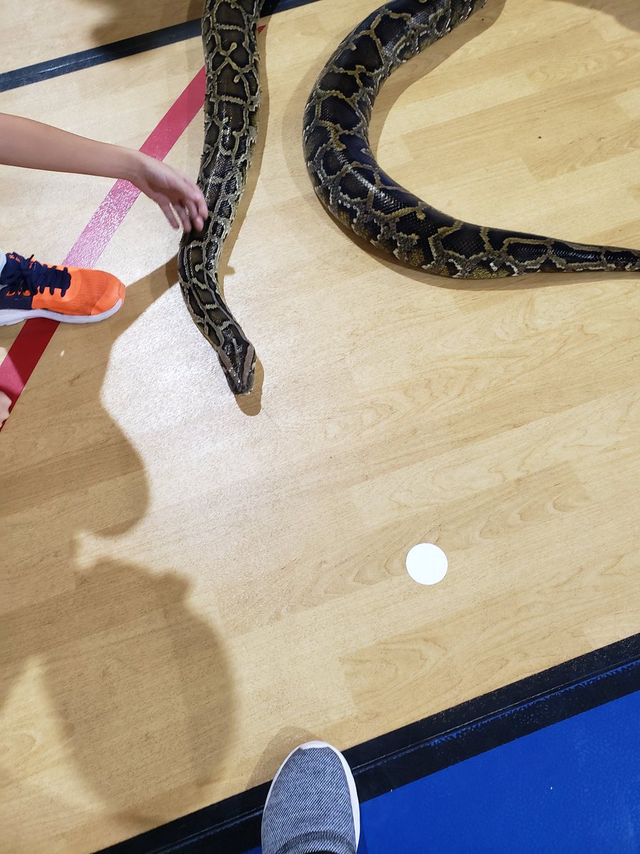 Misty Newton (@misty_d_newton) on Twitter photo Fall Fair today!!! Got to pet some snakes! They are so beautiful! <a href="/NEISD/">North East ISD</a> <a href="/bulverdecreek/">BCE Texans #WeAreBulverdeCreek</a> Fall Fair today!!! Got to pet some snakes! They are so beautiful! <a href="/NEISD/">North East ISD</a> <a href="/bulverdecreek/">BCE Texans #WeAreBulverdeCreek</a>