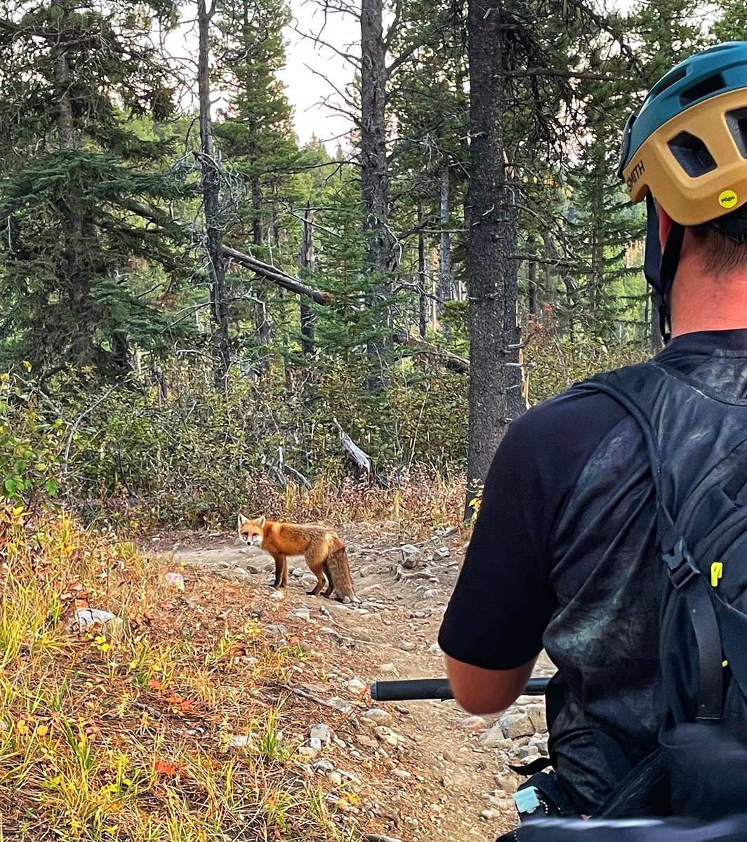 Tyler Dixon tweet media