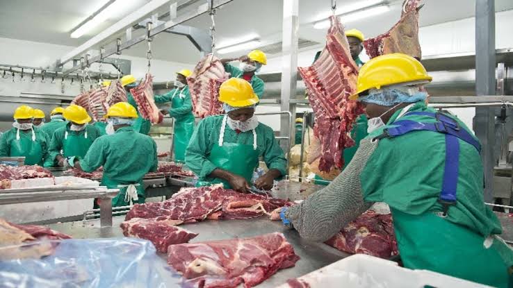 AfricaFactsZone's tweet photo. Why Namibian beef is the healthiest in Africa, and is exported to USA, EU and China.

In 1911, German colonialists decided to fence it to protect livestock from cross border disease transmission.

They banned livestock from Northern Namibia from crossing into the Southern part. https://t.co/BlRQrWQVTP