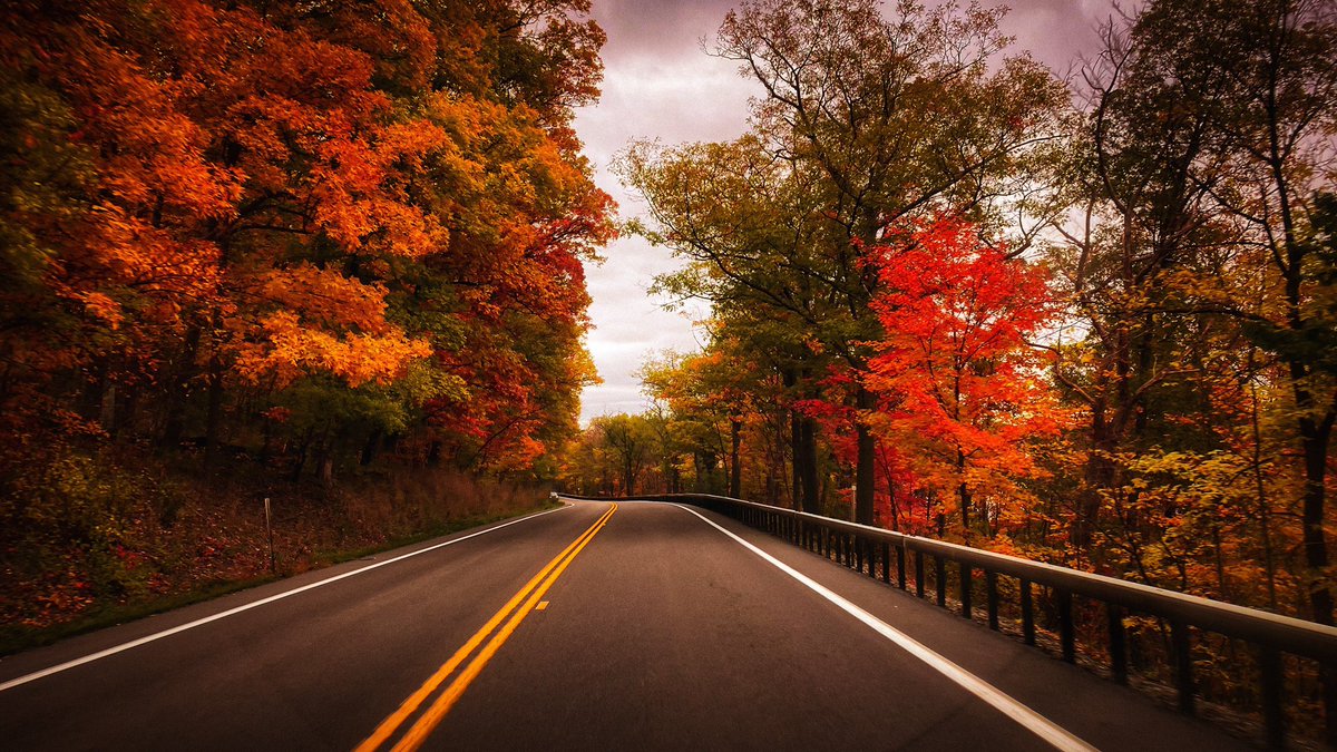 vineyardwarrior's tweet photo. Beautiful Drive Home 🍂🍁🍂 #beautifulevening #Fall2022 #fallcolors #fallfoliage #fingerlakes #flx #photography https://t.co/KILeByRc7A