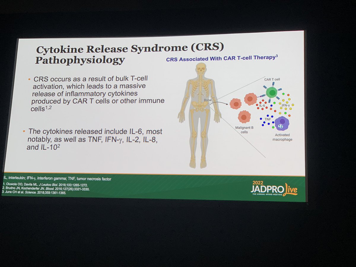 Beth Faiman PhD (@bethfaiman) on Twitter photo Highly relevant discussion on #CART #bispecifics #CRS & #RRMM therapies <a href="/JADPRO/">JADPRO</a> #JADPROLive <a href="/domenica76/">Donna Catamero</a> <a href="/myelomatips/">Cesar Rodriguez, MD (Myelomatips.com)</a> Highly relevant discussion on #CART #bispecifics #CRS & #RRMM therapies <a href="/JADPRO/">JADPRO</a> #JADPROLive <a href="/domenica76/">Donna Catamero</a> <a href="/myelomatips/">Cesar Rodriguez, MD (Myelomatips.com)</a>